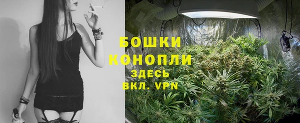 стафф Липки