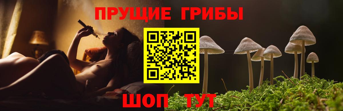 купить наркотики цена  Вход с VPN  Симферополь  Псилоцибиновые грибы прущие грибы  Галлюциногенные грибы Cubensis 